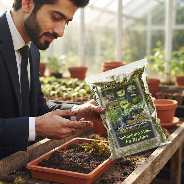Sphagnum Moss for Reptiles – Natural Substrate for Humidity & Burrowing