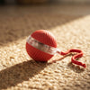 Interactive Rolling Cat Ball Toy – Self-Moving Chase Toy for Indoor Cats