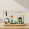 Transparent Desktop Fish Tank – Clear Mini Aquarium for Betta Fish, Shrimp & Home Décor