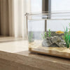 Transparent Desktop Fish Tank – Clear Mini Aquarium for Betta Fish, Shrimp & Home Décor