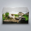 Stackable Reptile Enclosure – Ventilated Slide-Lid Terrarium for Geckos, Spiders & Small Reptiles