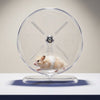 Silent Transparent Hamster Running Wheel – Quiet Exercise Wheel for Hamsters & Gerbils